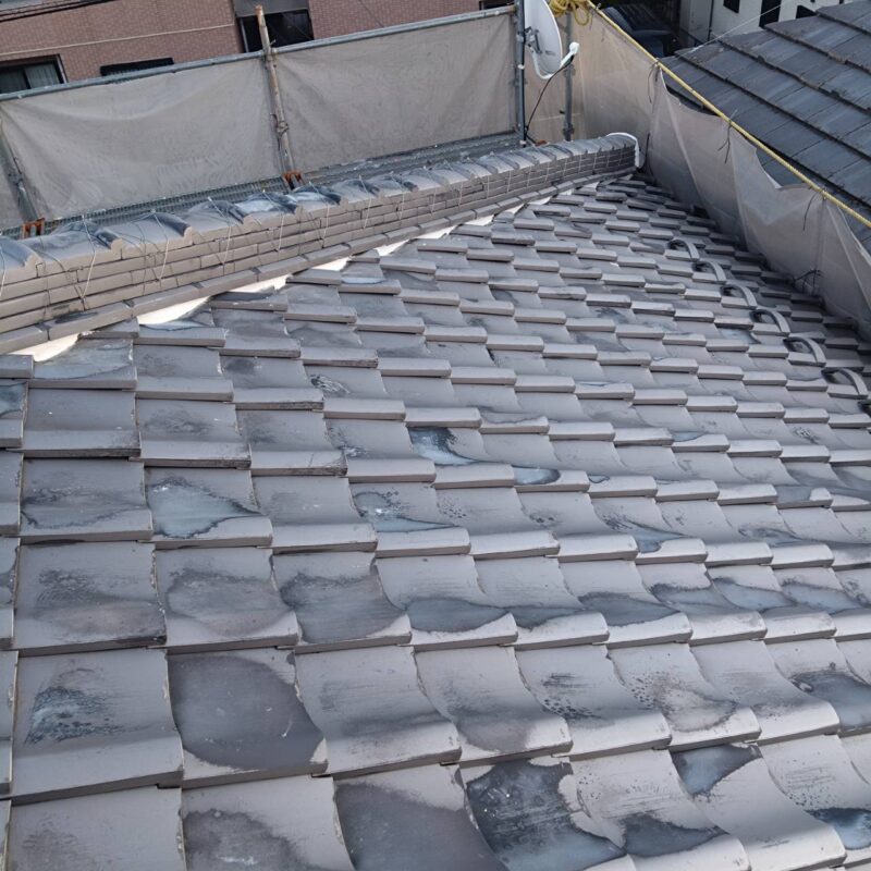 気づくのが早いほど、家は長くきれいに保てます。